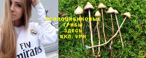 прущий лед Бронницы